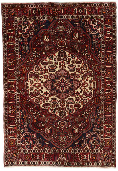 Bakhtiari Persian Rug 315x216