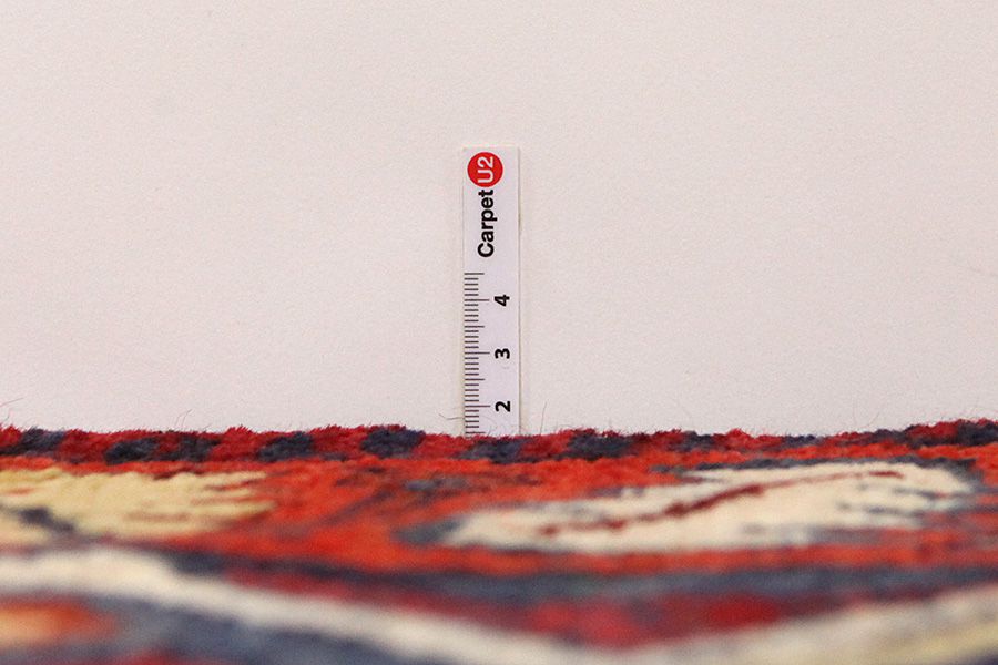 Tuyserkan - Hamadan Persian Rug 218x161 - Picture 7