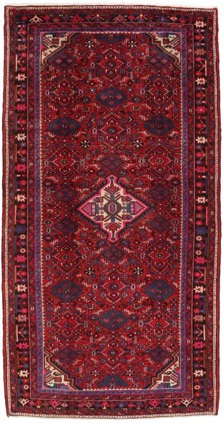Borchalou - Hamadan Persian Rug 315x165