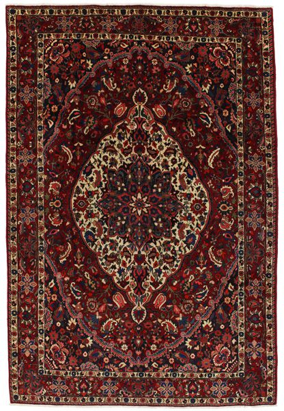 Bakhtiari Persian Rug 313x210