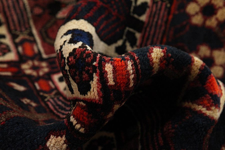 Bakhtiari - Garden Persian Rug 300x208 - Picture 6
