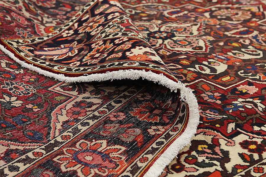 Bakhtiari Persian Rug 320x208 - Picture 4