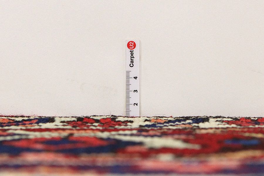 Bakhtiari Persian Rug 309x204 - Picture 7