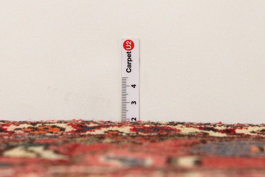 Bakhtiari Persian Rug 313x213 - Picture 7