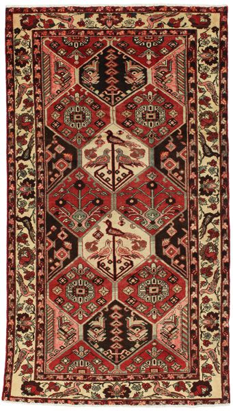 Bakhtiari Persian Rug 297x167
