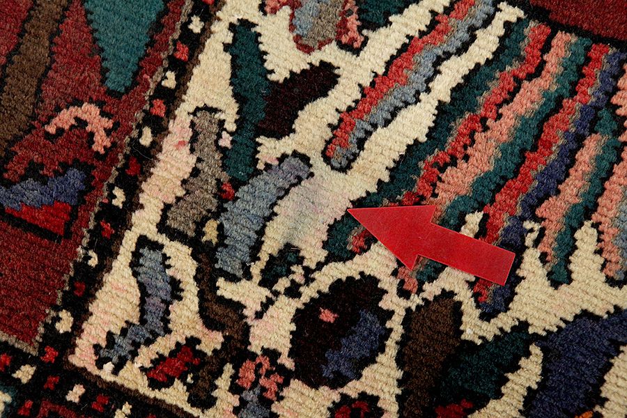 Bakhtiari - Garden Persian Rug 319x229 - Picture 8