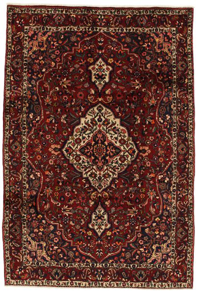 Bakhtiari Persian Rug 314x210