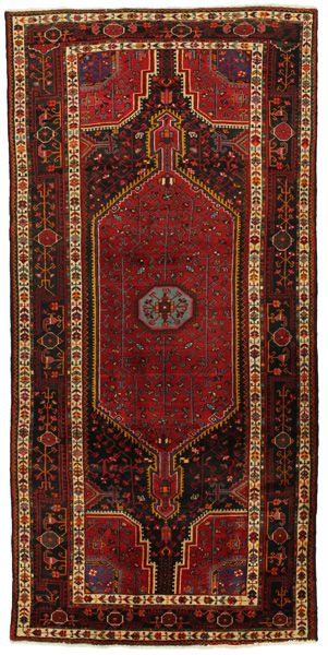 Tuyserkan - Hamadan Persian Rug 300x148