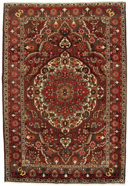 Bakhtiari Persian Rug 308x210