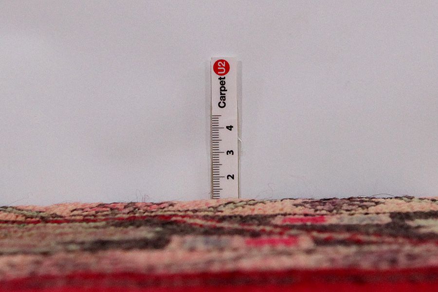 Lilian - Sarouk Persian Rug 268x138 - Picture 7