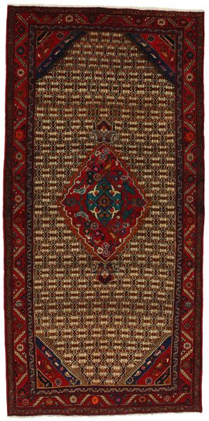 Songhor - Koliai Persian Rug 313x150
