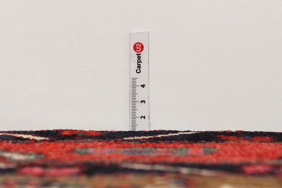 Songhor - Koliai Persian Rug 305x155 - Picture 7