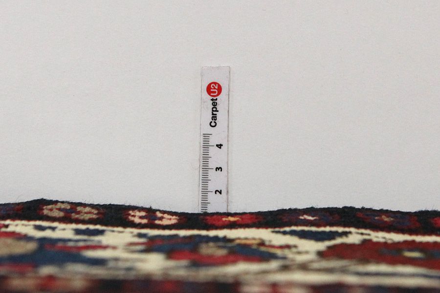 Bakhtiari Persian Rug 293x155 - Picture 7