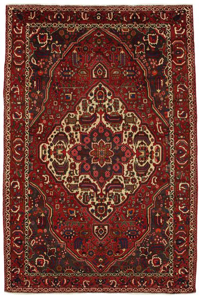 Bakhtiari Persian Rug 310x205