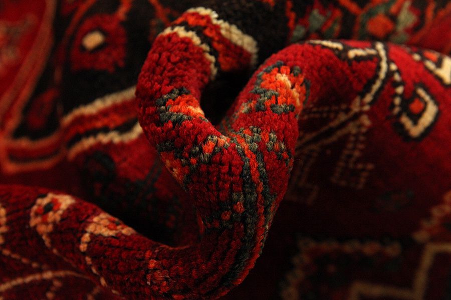 Qashqai - Shiraz Persian Rug 243x154 - Picture 6