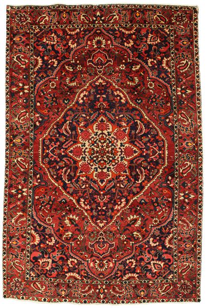 Bakhtiari Persian Rug 308x208