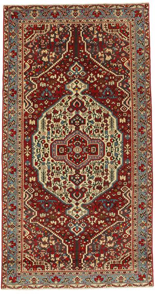 Bakhtiari Persian Rug 310x163