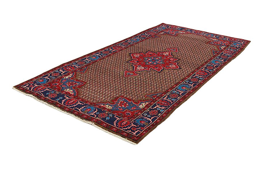 Songhor - Koliai Persian Rug 305x153 - Picture 2