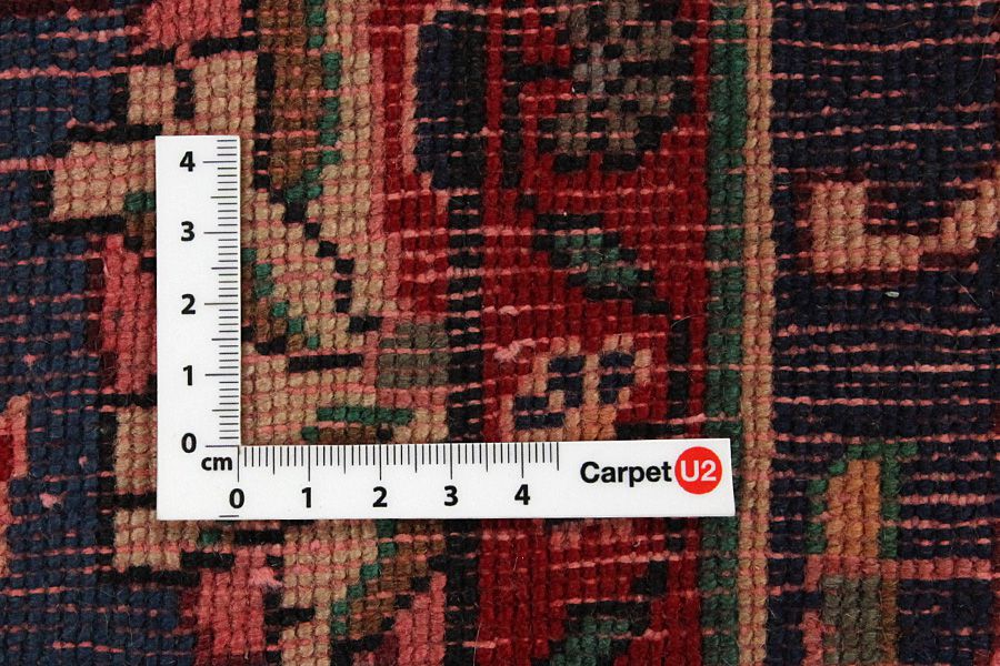 Songhor - Koliai Persian Rug 305x153 - Picture 3