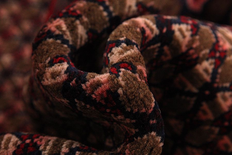 Songhor - Koliai Persian Rug 305x153 - Picture 6