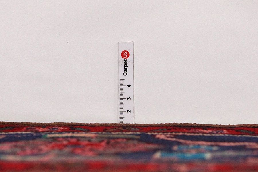 Songhor - Koliai Persian Rug 305x153 - Picture 7