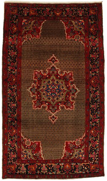 Songhor - Koliai Persian Rug 286x163