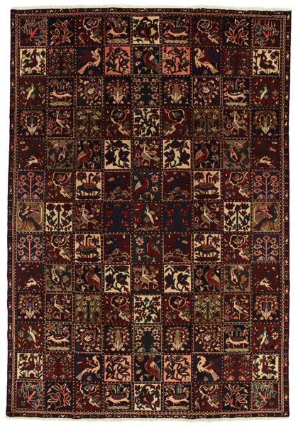 Bakhtiari Persian Rug 310x215