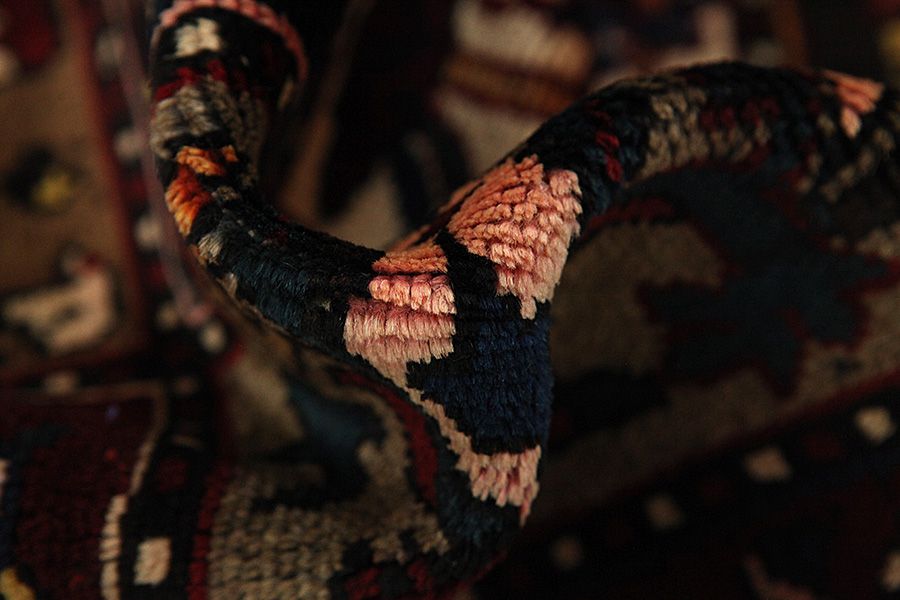 Bakhtiari Persian Rug 310x215 - Picture 6