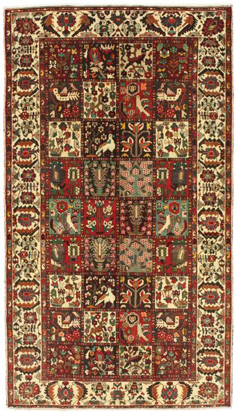 Bakhtiari Persian Rug 290x163