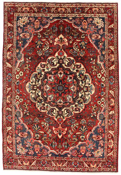 Bakhtiari Persian Rug 310x212