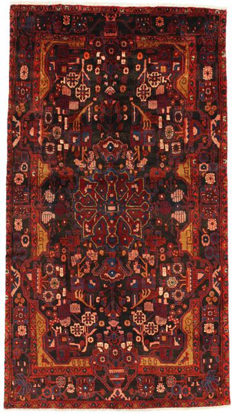Nahavand - Hamadan Persian Rug 275x155
