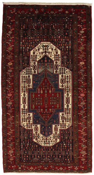 Tuyserkan - Hamadan Persian Rug 300x160