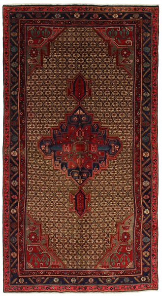 Songhor - Koliai Persian Rug 290x155