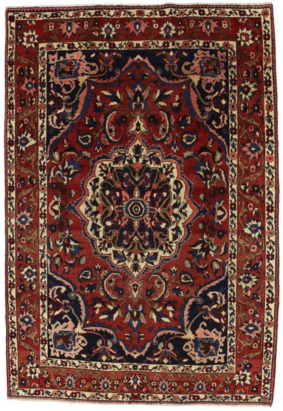 Bakhtiari Persian Rug 321x220