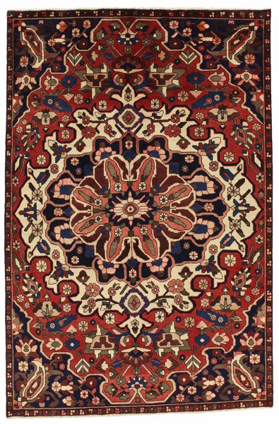 Bakhtiari Persian Rug 248x167
