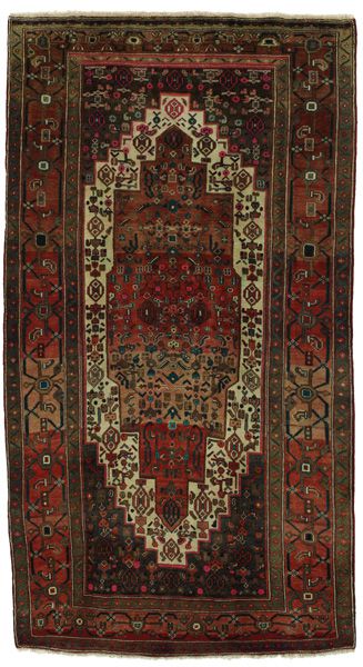 Tuyserkan - Hamadan Persian Rug 274x150