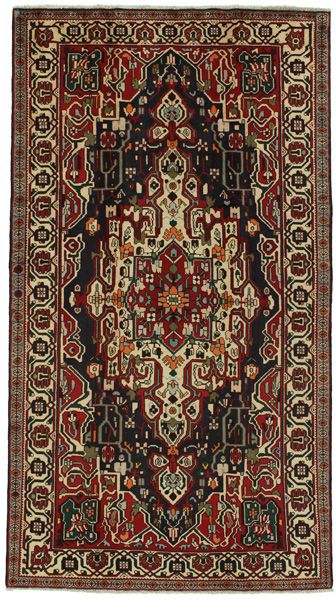 Nahavand - Hamadan Persian Rug 293x163