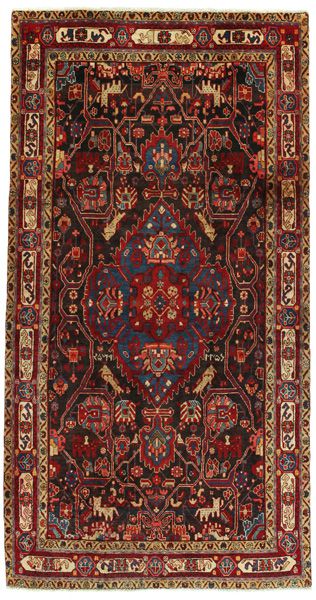 Nahavand - Hamadan Persian Rug 295x152