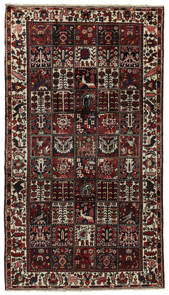 Bakhtiari Persian Rug 295x168