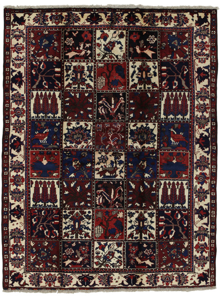 Bakhtiari Persian Rug 204x155