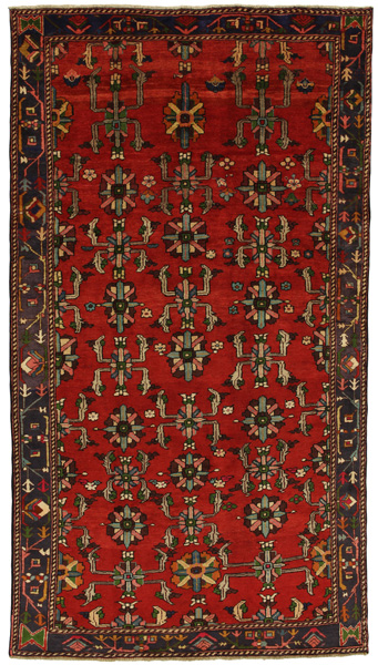 Afshar - Sirjan Persian Rug 302x169
