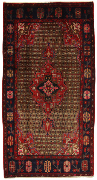 Songhor - Koliai Persian Rug 304x160