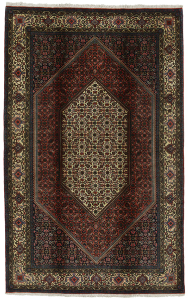 Bijar Persian Rug 248x156