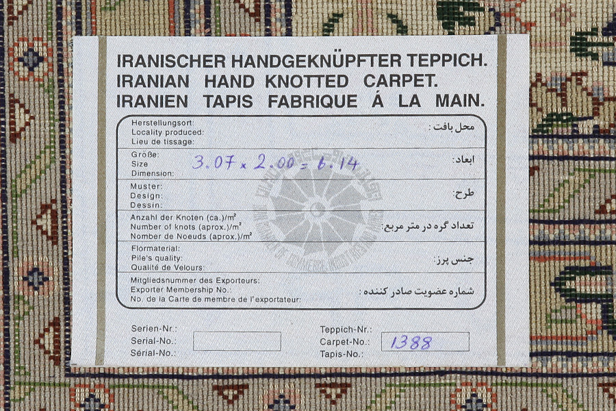 Tabriz Persian Rug 307x200 - Picture 10