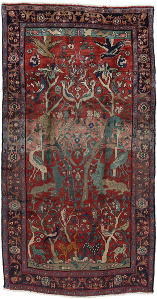 Sarouk Persian Rug 288x151