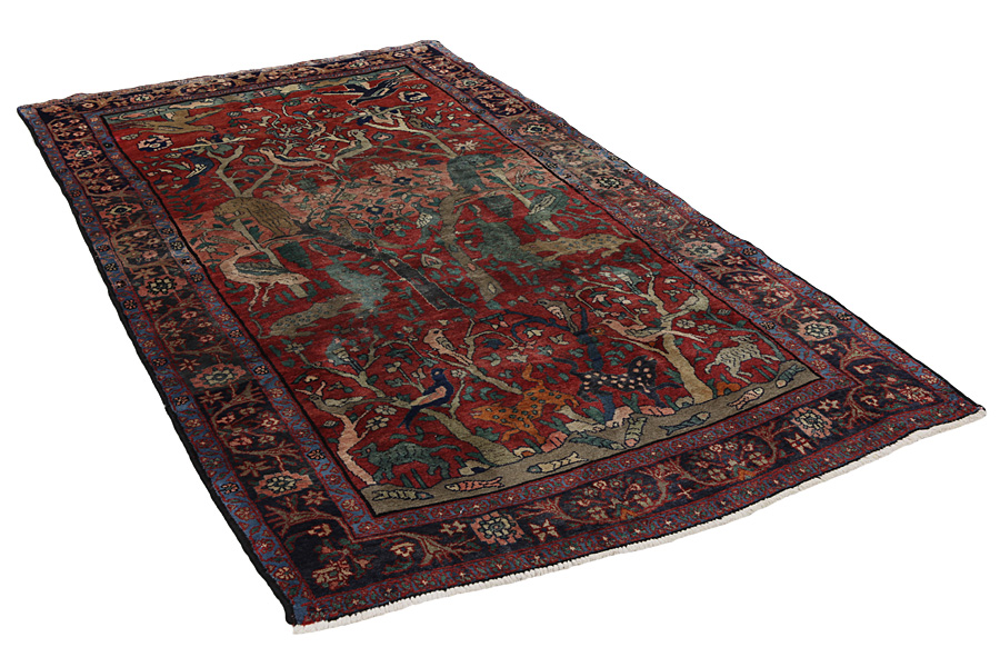 Sarouk Persian Rug 288x151 - Picture 1