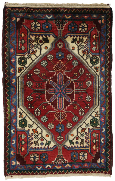 Tuyserkan - Hamadan Persian Rug 100x65