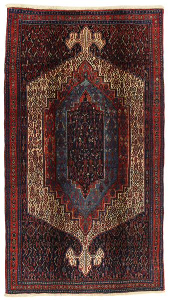 Senneh - Kurdi Persian Rug 267x150