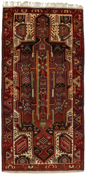 Tuyserkan - Hamadan Persian Rug 314x155