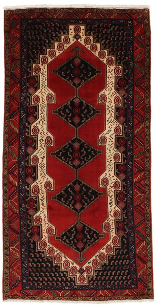 Zanjan - Hamadan Persian Rug 289x146